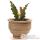 Vases-Modle Lipa Planter,  surface granite-bs3048gry