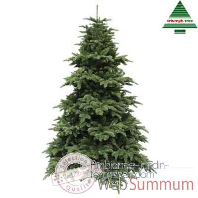 X-mas tree delux abies nordmann h260d175 d.green tips 4406 Edelman -389519