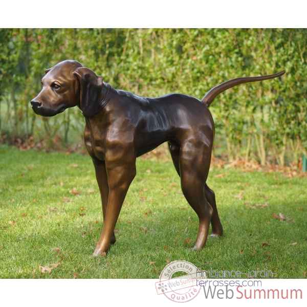 Chien de chasse Thermobrass -B635-1
