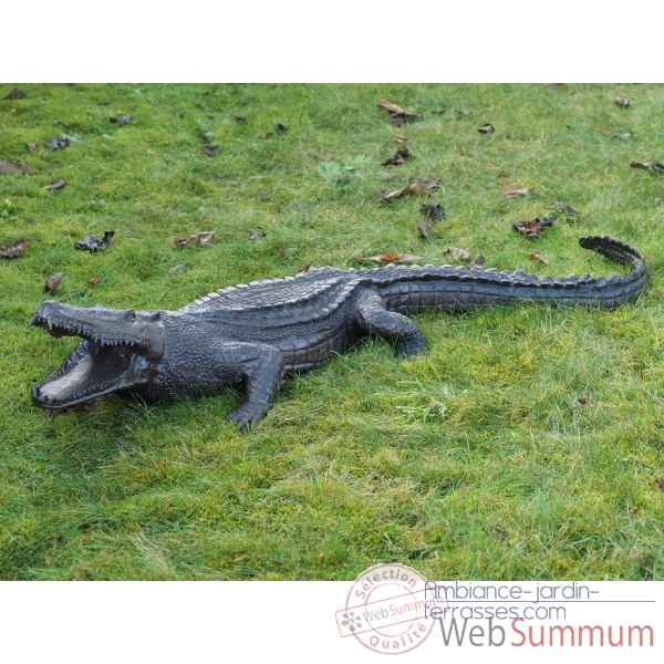Crocodile Thermobrass -B57015