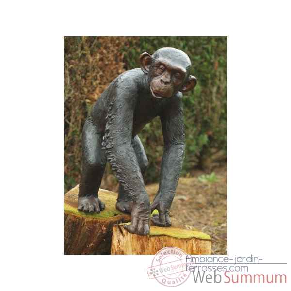 Statue bronze chimpanze -B59265