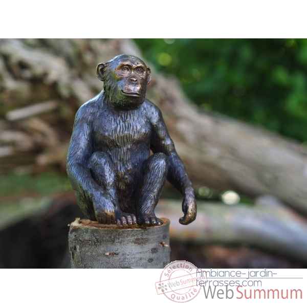 Statuette chimpanze bronze -AN1331BR-B