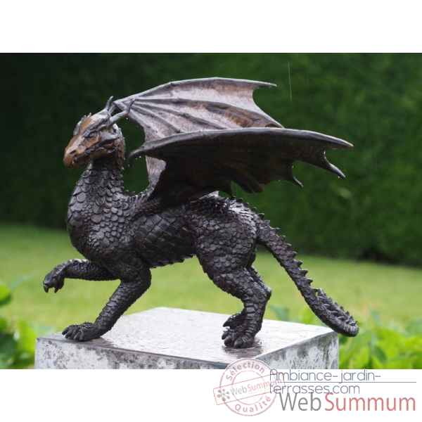 Statuette dragon bronze -AN2308BR-B