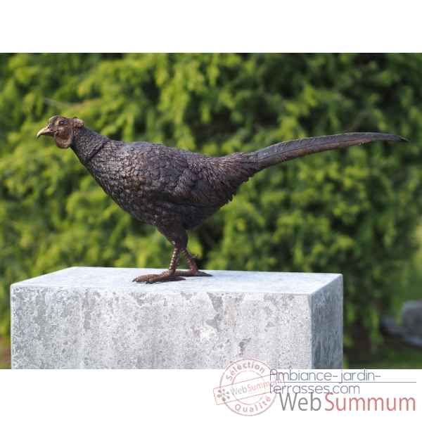 Statuette faisan bronze -AN1329BR-B
