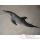 Trophe mammifre marin Cap Vert Grand dauphin -TRDF26