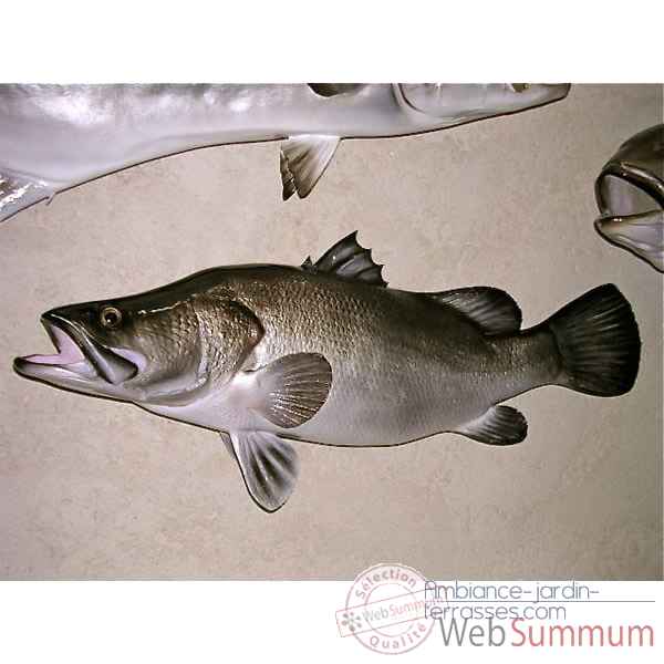 Trophee poisson d\'eau douce tropicale Cap Vert Perche du Nil -TR020
