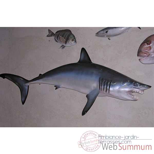 Trophee poisson des mers tropicales Cap Vert Requin mako -TRDF66