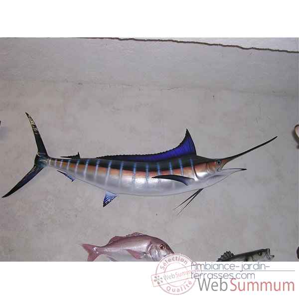 Trophee poisson des mers tropicales Cap Vert Marlin bleu -TR057